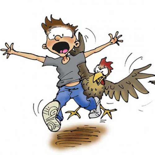 Mail Call May/June 2015: Raising Chickens, Planting Trees, Garden Trugs, Woodstoves and More